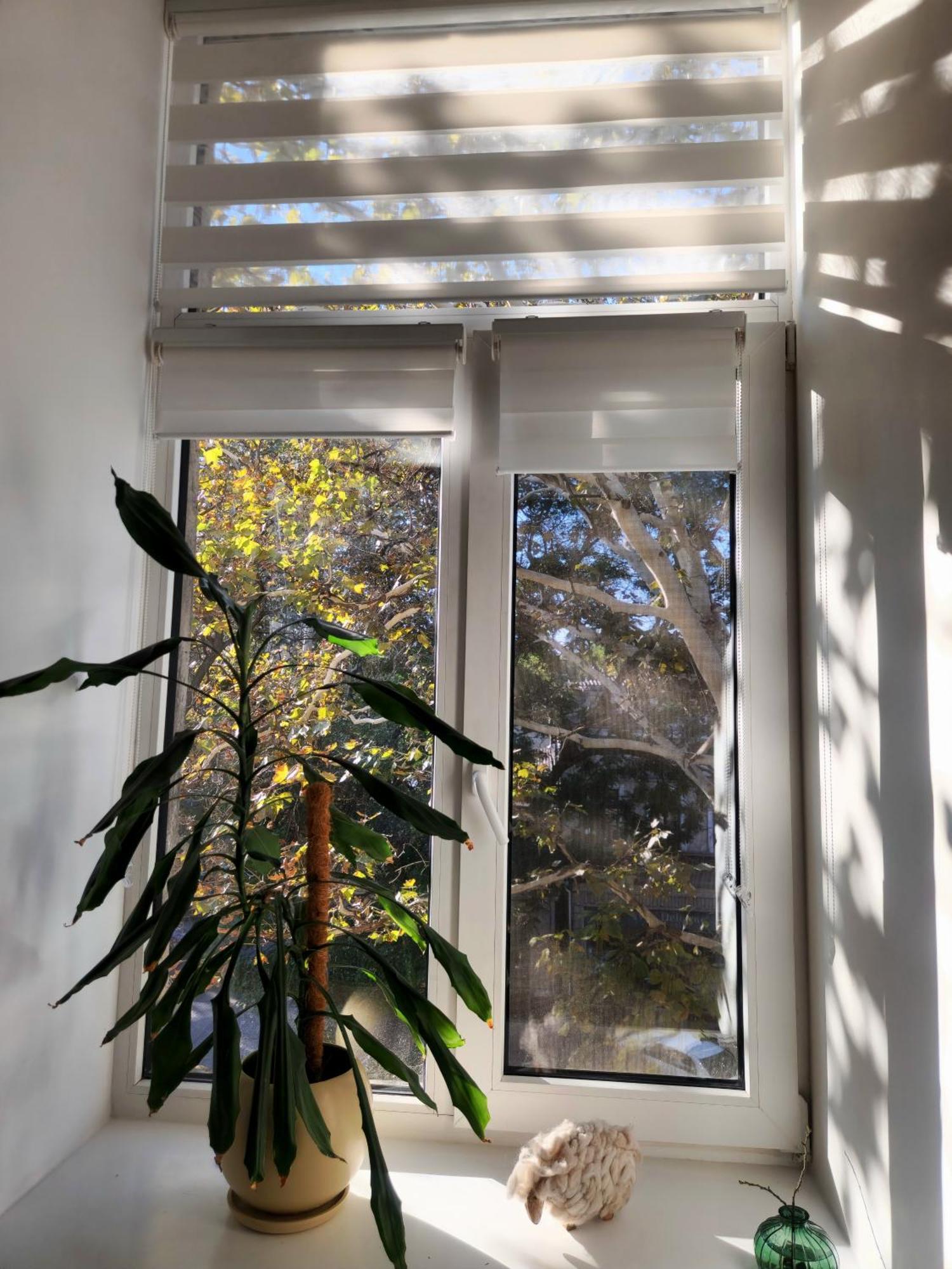 Scandi Group Apartaments Odessa Bilik gambar